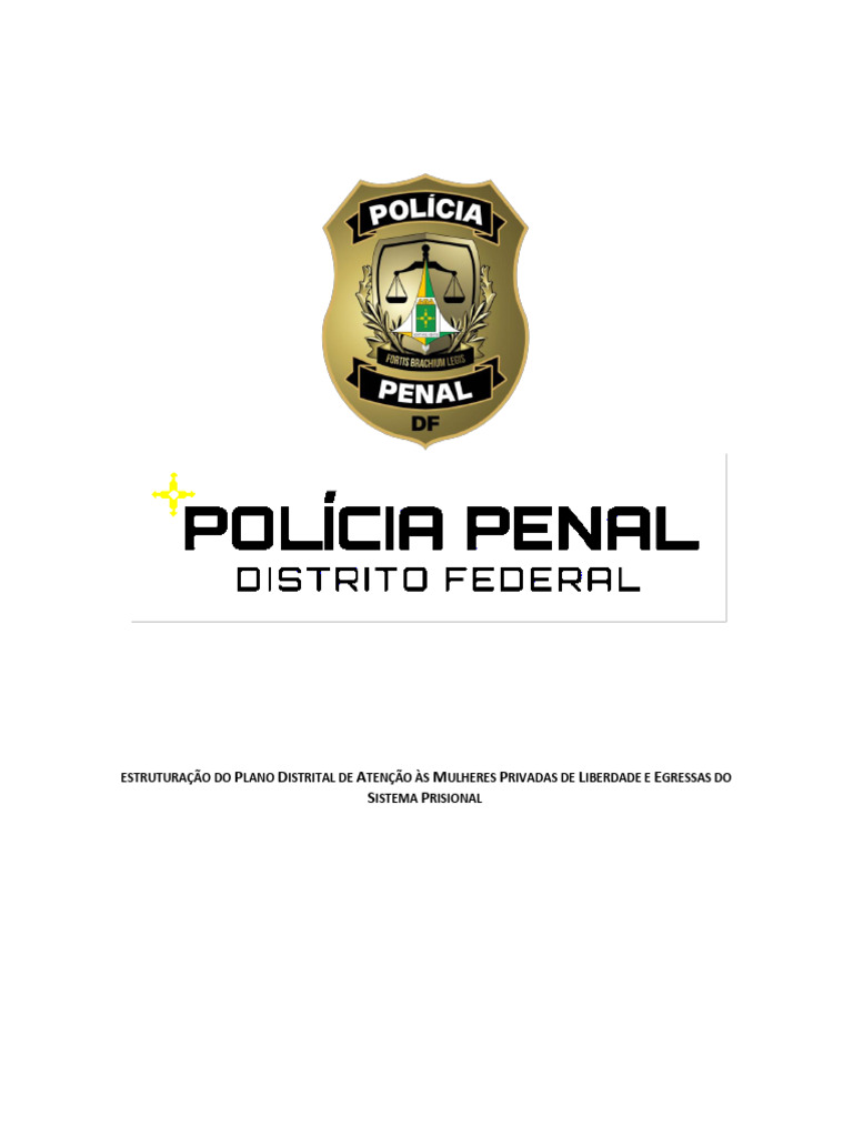 Plano Distrital de Atencao As Mulheres Privadas de Liberdade PFDF | PDF ...