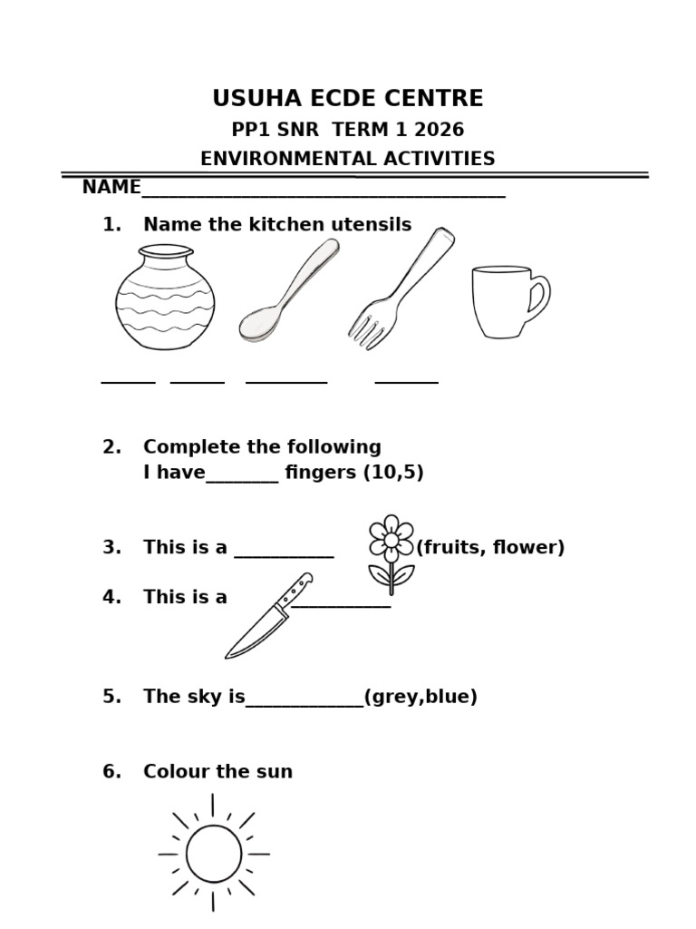 SNR Pp1 Term 1 2026 Environmental | PDF
