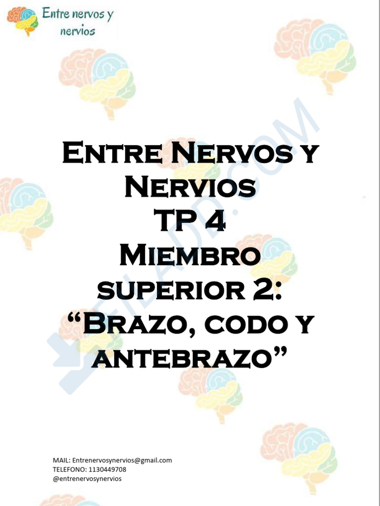 TP 4 BRAZO CODO Y ANTEBRAZO | PDF | Codo | Articulación