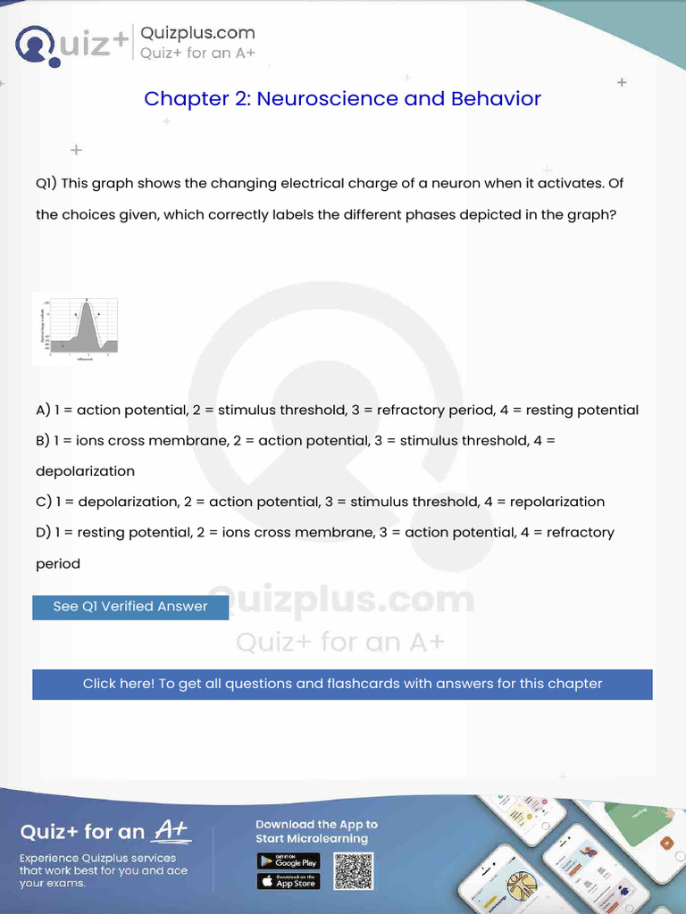 This Graph Shows The Changing Electrical Charge of A Neuron When It ...