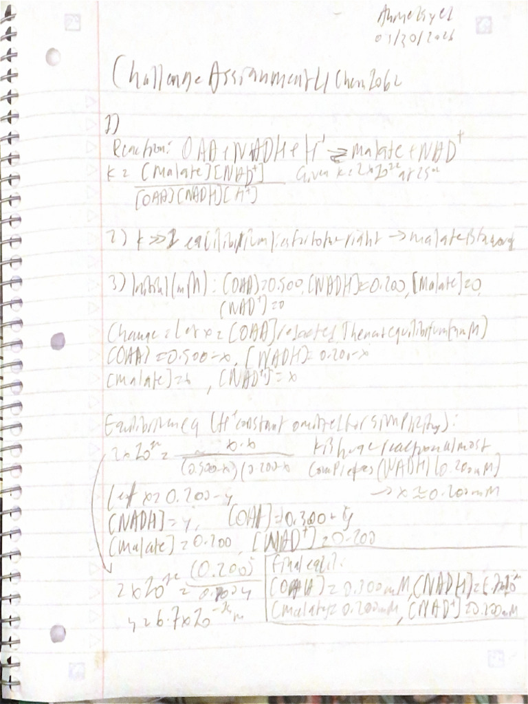 Challenge Assignment #4 | PDF