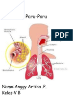 paru-paru2