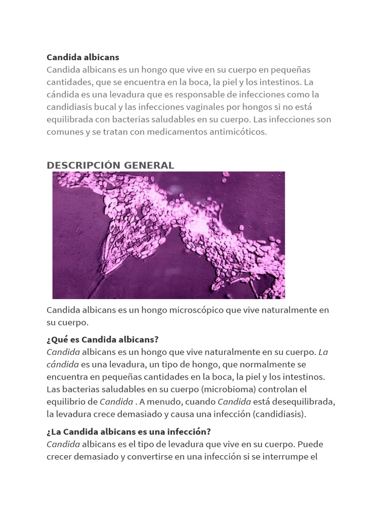 Candida Albicans | PDF | Candidiasis | Candida (hongo)