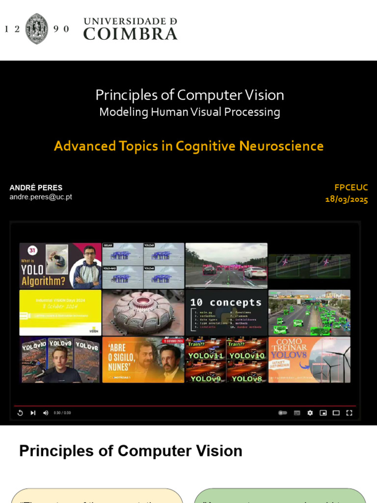 Aula 6. | PDF | Visual Cortex | Visual System