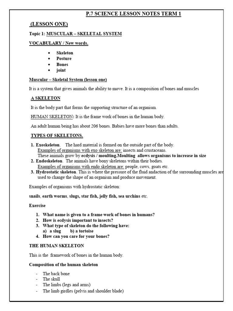 p7 Science Lesson Notes Term 1 - 3 | PDF | Muscle | Skeleton