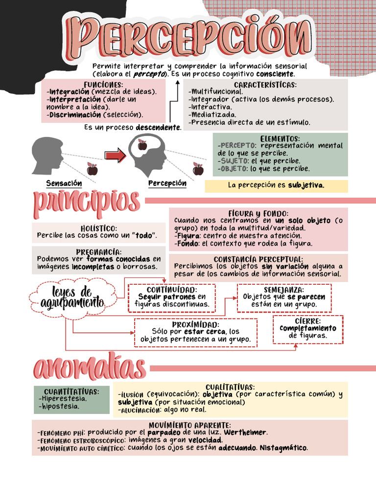 Percepción | PDF | Percepción | Procesos mentales