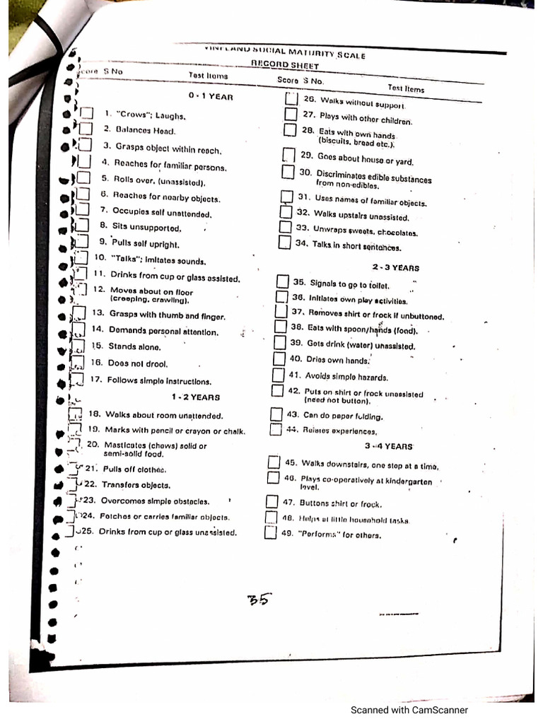 VSMS Questionnaire | PDF