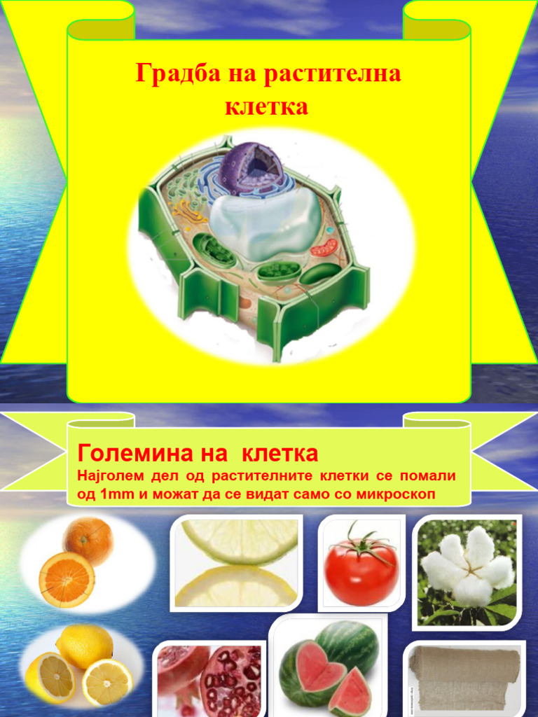 2 Gradba Na Rastitelna Kletka | PDF