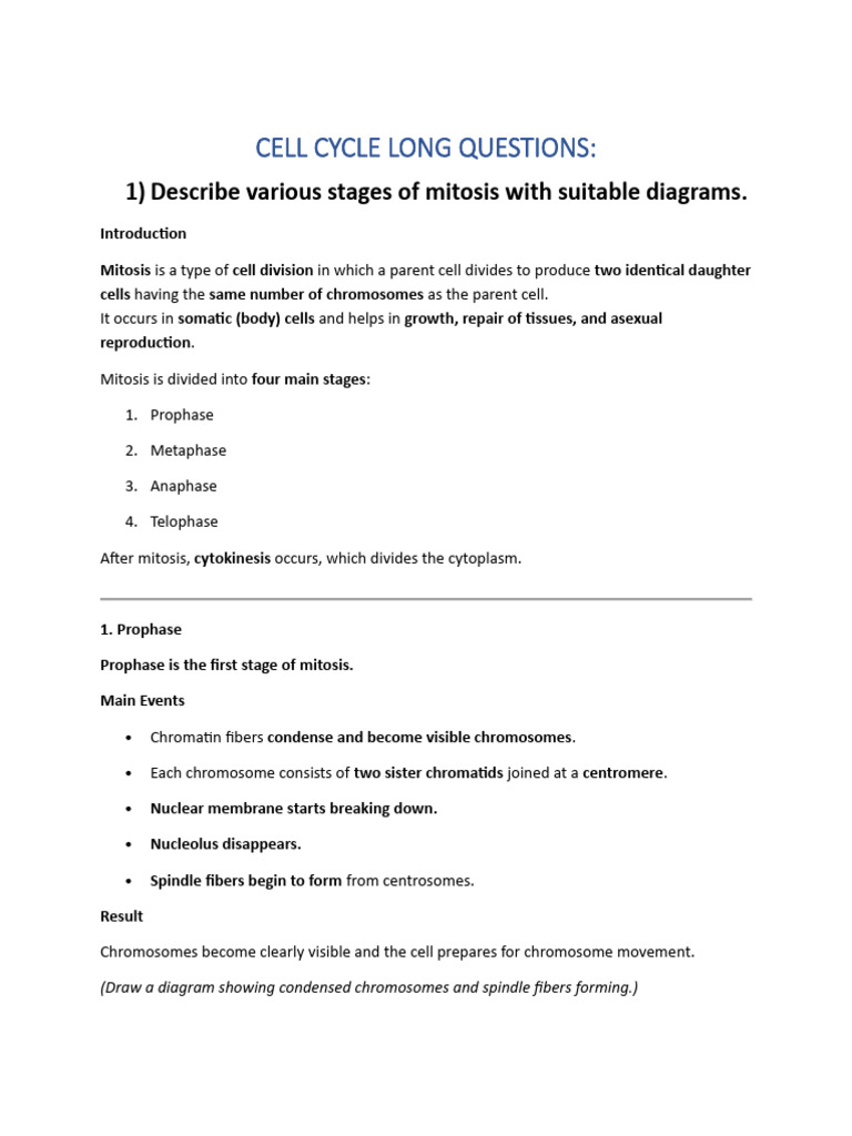 Cell Cycle Long Questions | PDF | Meiosis | Mitosis