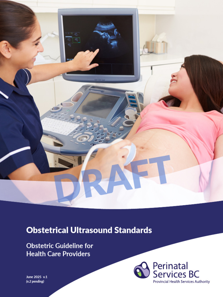 O Bus Standards Guideline | PDF | Obstetrics | Medical Specialties
