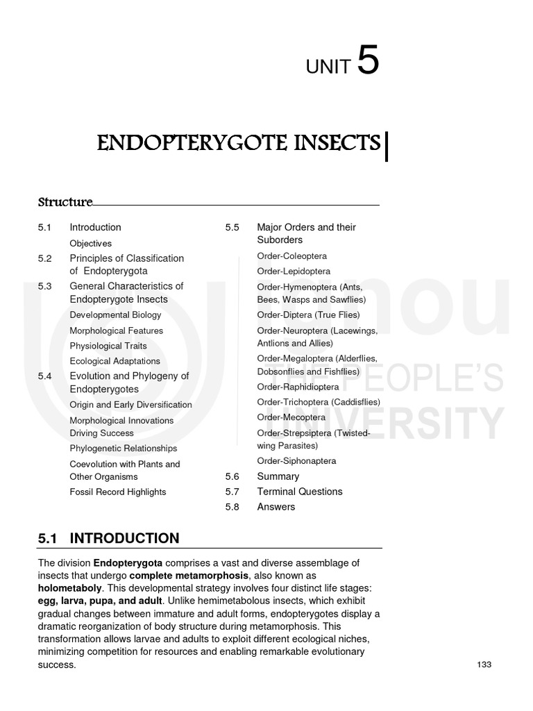 Unit 5 | PDF | Fly | Wasp
