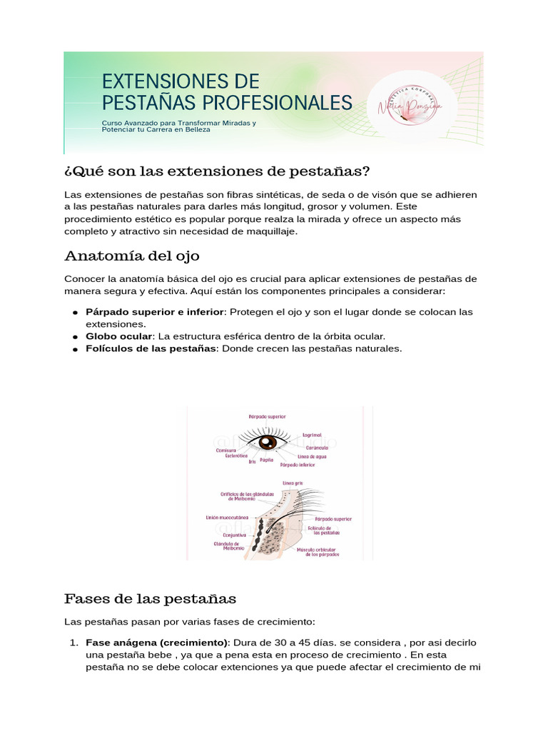 Curso de Extensiones de Pestañas Profesional - 20260330 - 173651 - 0000 ...