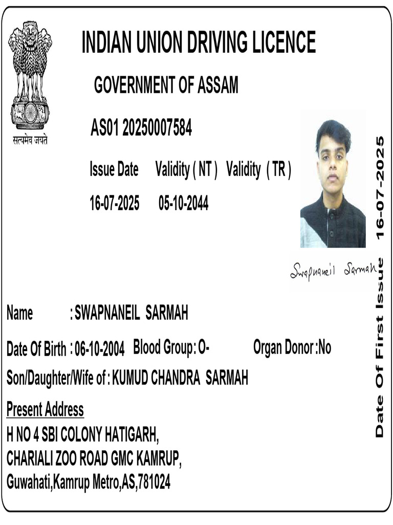 Driving License | PDF