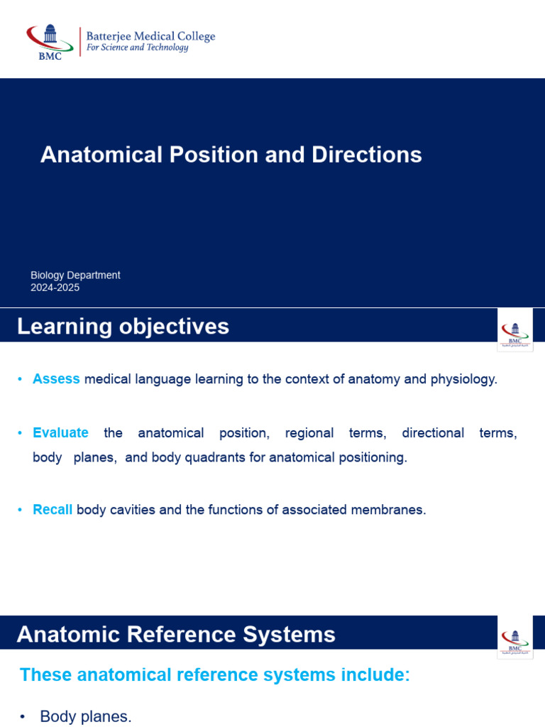 5-Anatomical Positions and Directions | PDF | Anatomical Terms Of ...
