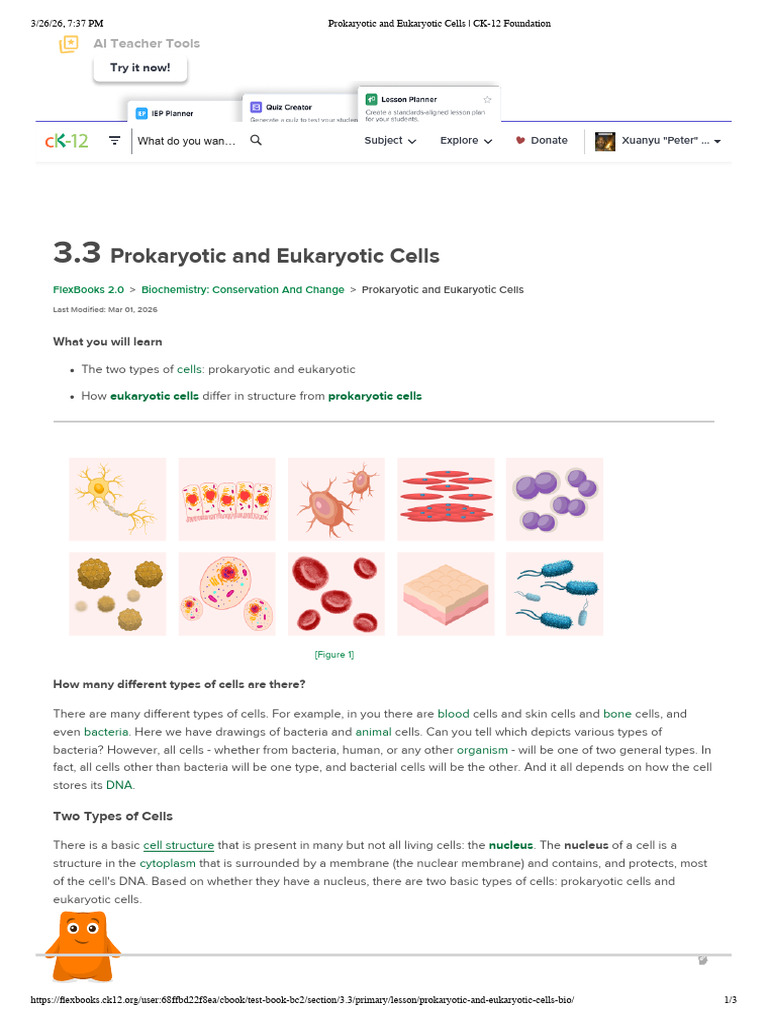 Prokaryotic and Eukaryotic Cells - CK-12 Foundation | PDF | Cell ...