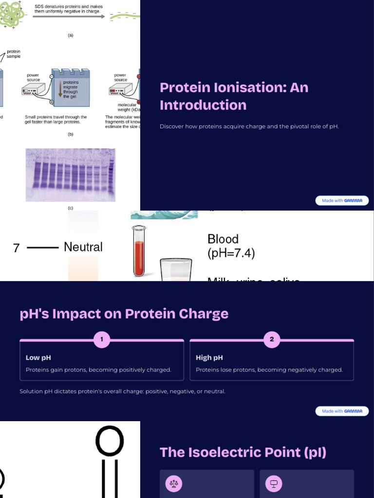 Protein Ionisation An Introduction | PDF | Chemistry | Physical Chemistry