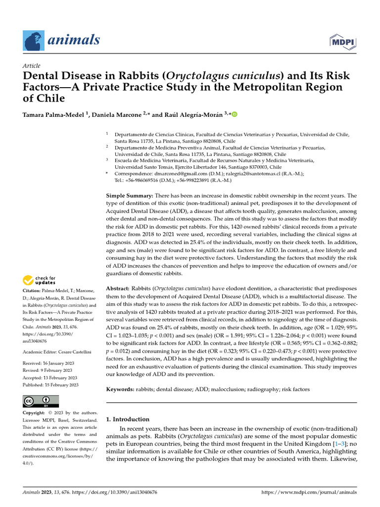 Dental Disease in Rabbits and Its Risk Factor TAMARA PALMA | PDF ...