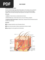 Anatomy and Functions of Skin | PDF | Skin | Integumentary System