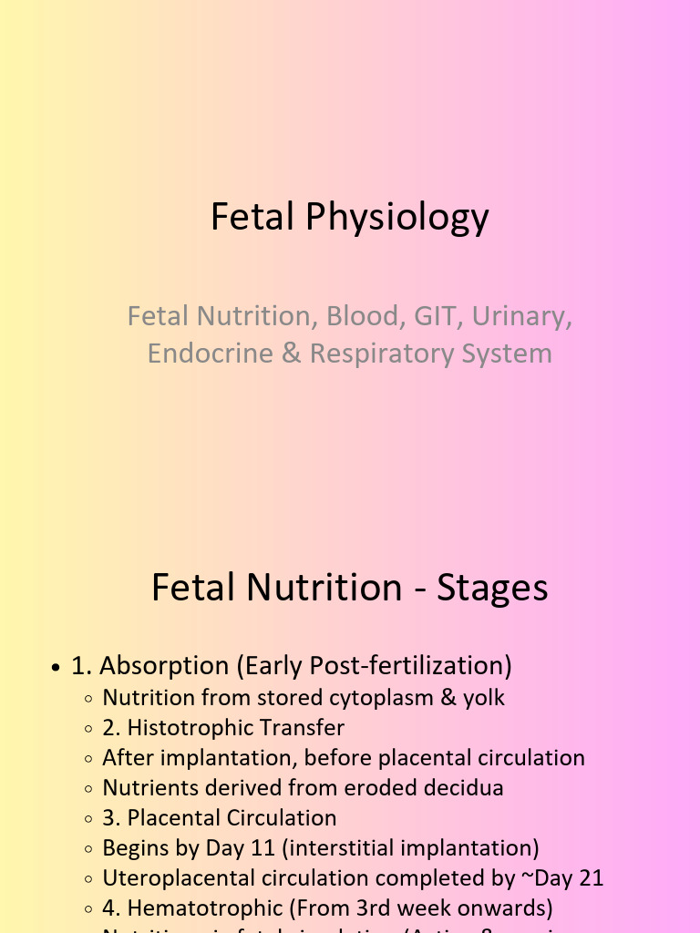 Fetal Physiology Presentation - PPTX 20260226 193816 0000 | PDF