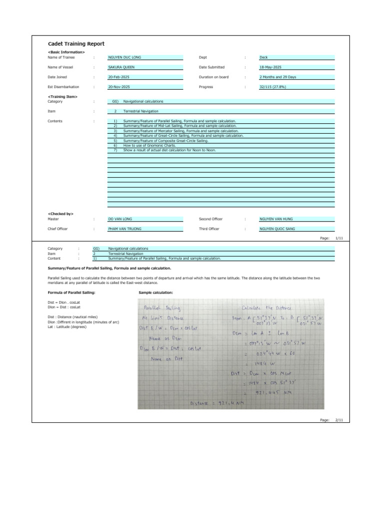 Example For D.CDT Training Report | PDF