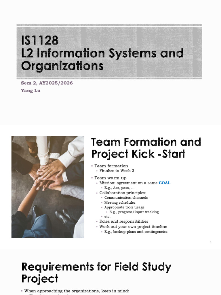 L2 - Information Systems and Organizations | PDF | Organizational ...