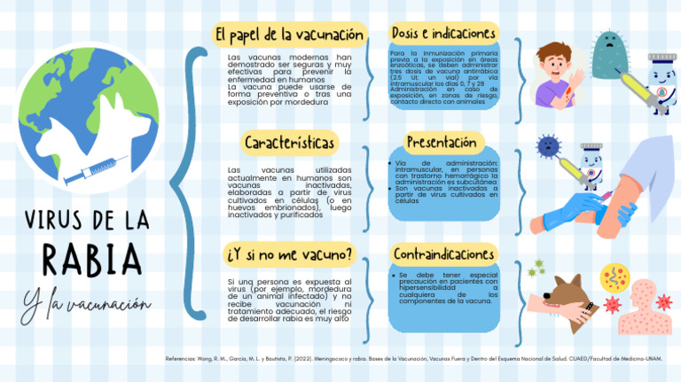 Rabia CuadroS | PDF | Rabia | Enfermedades y trastornos