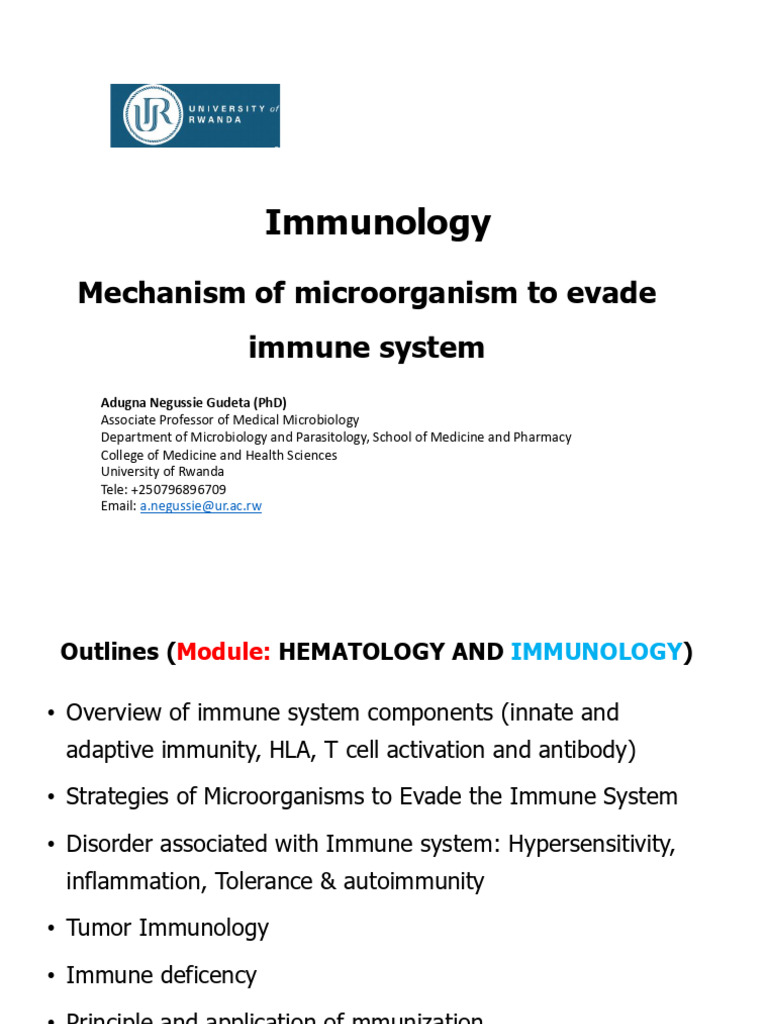 Immunology Overview Evasion Mechanisms | PDF | Immune System | Lymphocyte