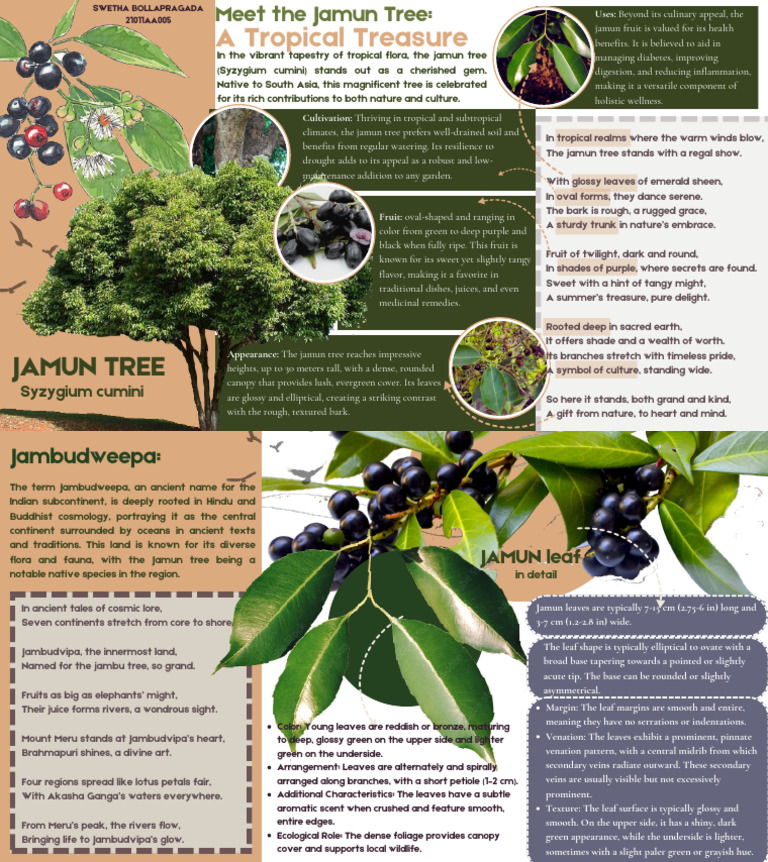 Jamun Tree | PDF