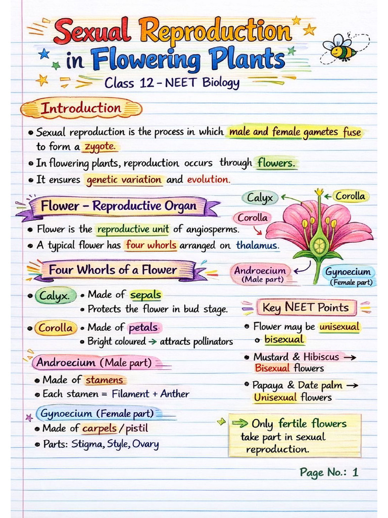 Sexual Reproduction in Flowering Plants Short Notes For Neet 2026 | PDF
