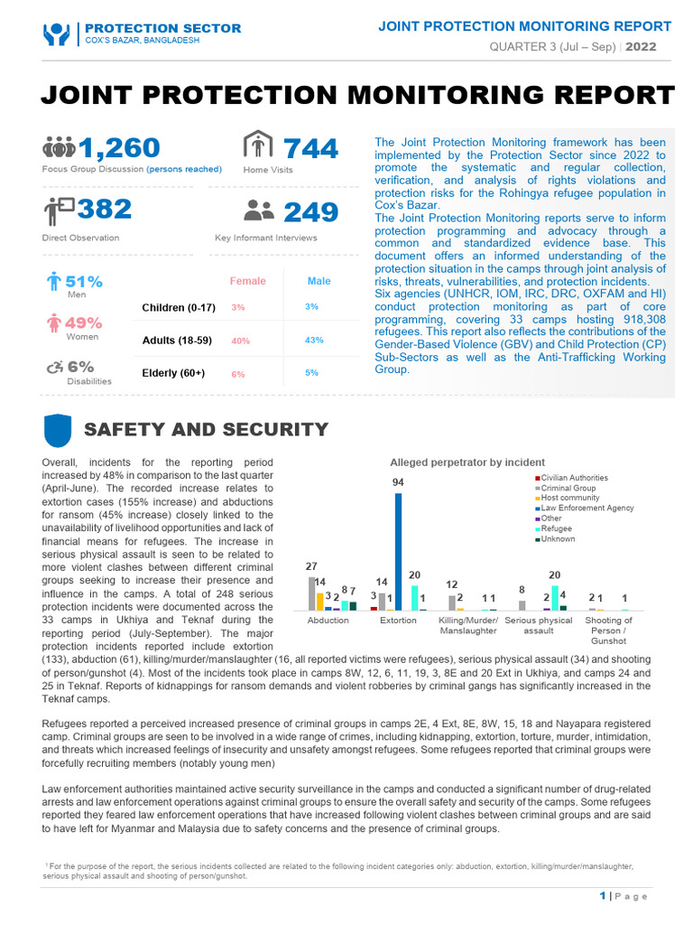 Joint Protection Monitoring Report | PDF