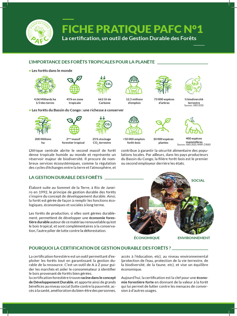 Fiche Pafc Numero 1 A4 | PDF