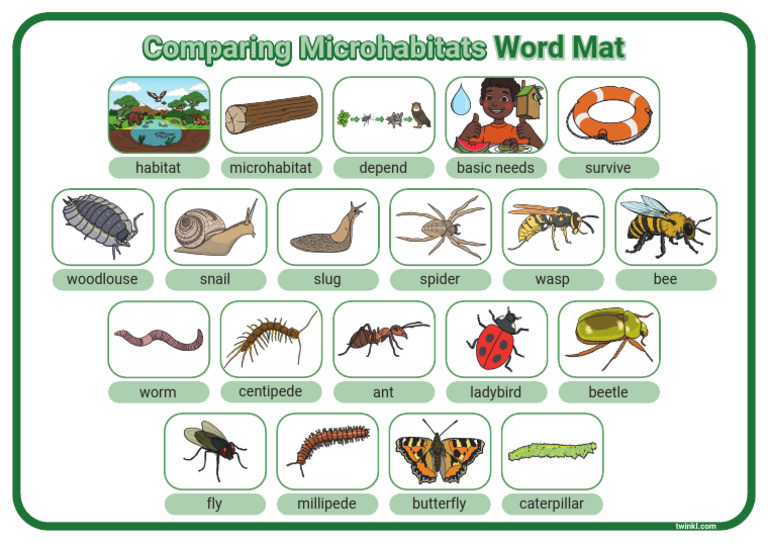 Comparing Microhabitats Word Mat | PDF