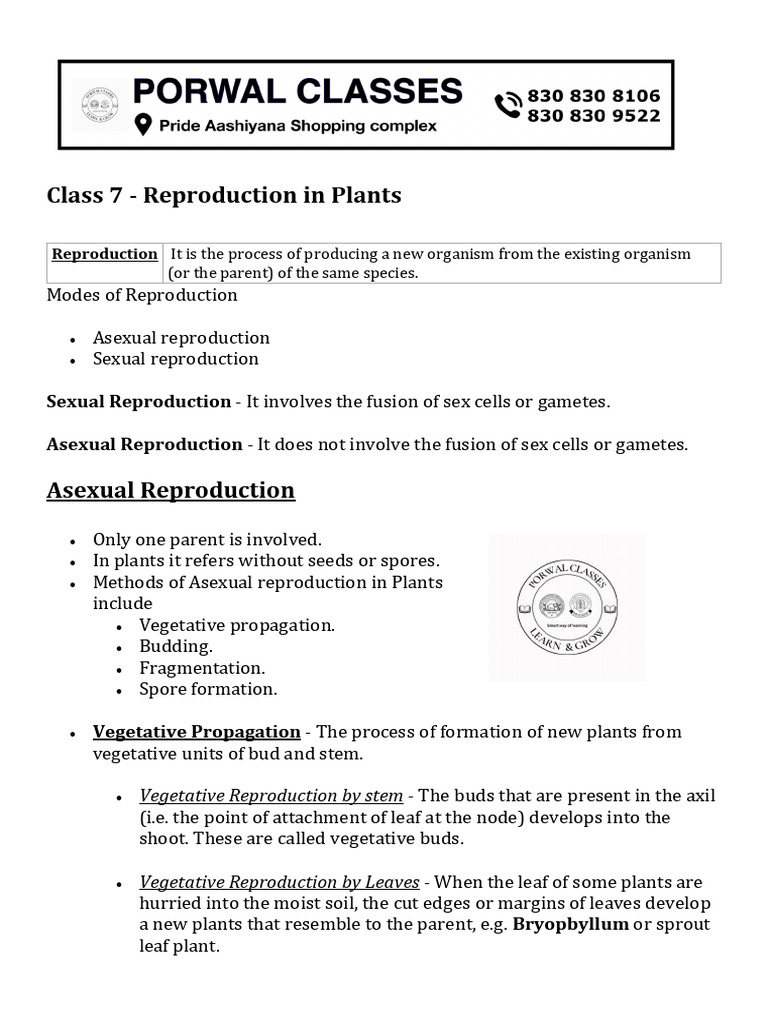Reproduction in Plants | PDF