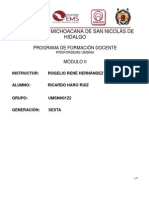 Formacion Docente