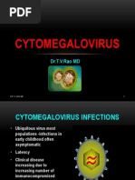 Download Cytomegalovirus by doctorrao SN102048041 doc pdf