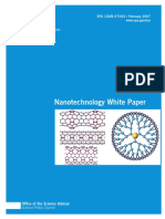 Nanotech Whitepaper - 2007