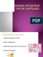 Localizacion de Lostipos de Cartilagos