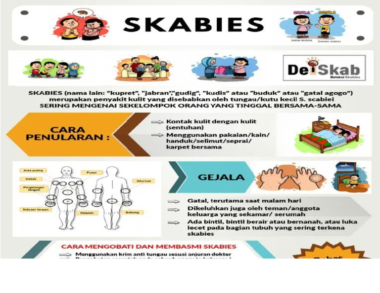 Leaflet Scabies | PDF