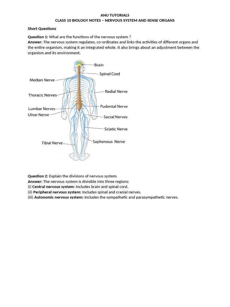 Anu Tutorials - Class 10 Biology Notes - Nervous System and Sense ...