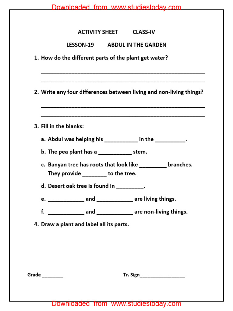 CBSE Class 4 EVS Revision Worksheet - Abdul in Garden | PDF