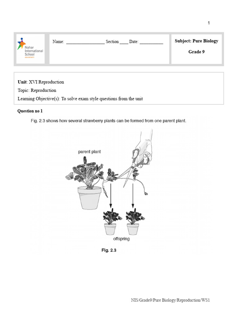 Reproduction - Extended Worksheet 1 | PDF