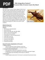 Insect Collection Labeling Guide | PDF | Insects | Arthropods