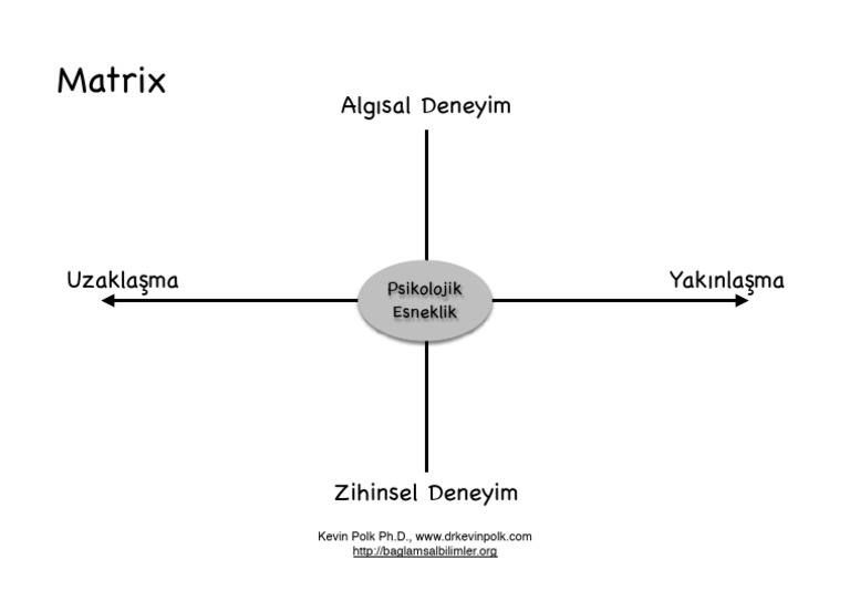Matrix-V1 1 | PDF
