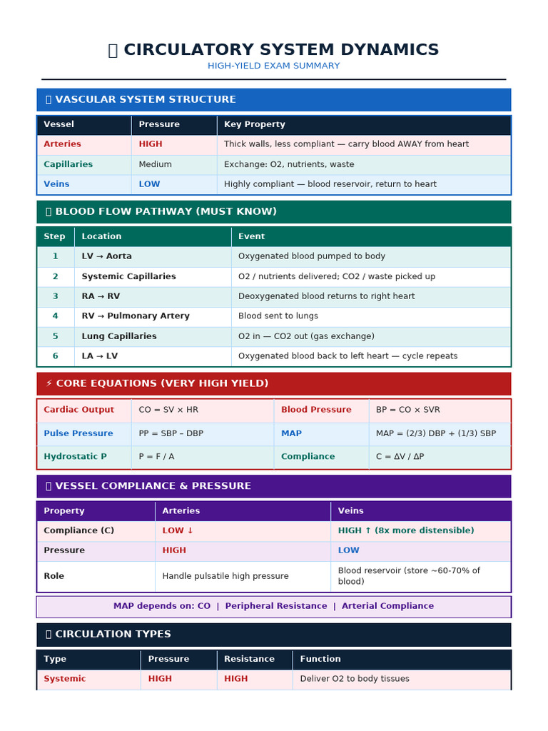 Circulatory Exam Summary | PDF | Blood Pressure | Artery