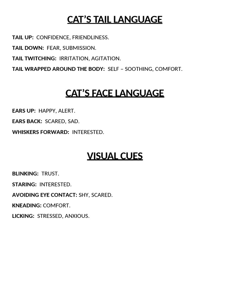 Cat's Body Language | PDF
