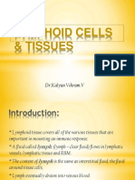 Lymphoid Cells & Tissues