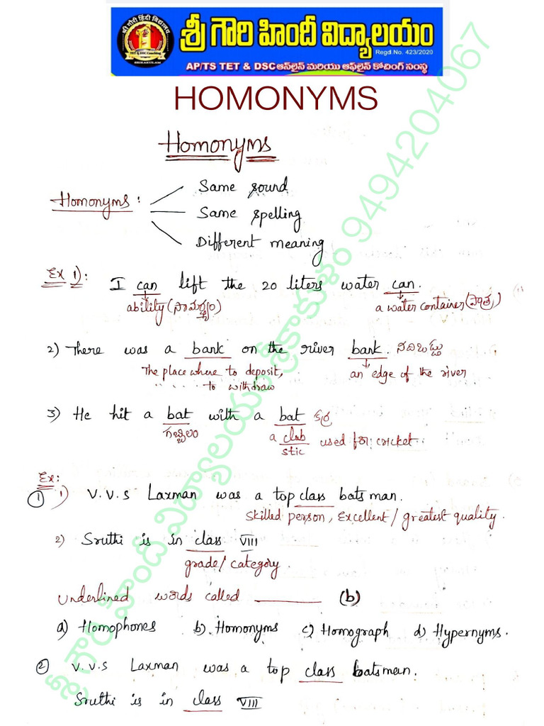 Homonyms | PDF