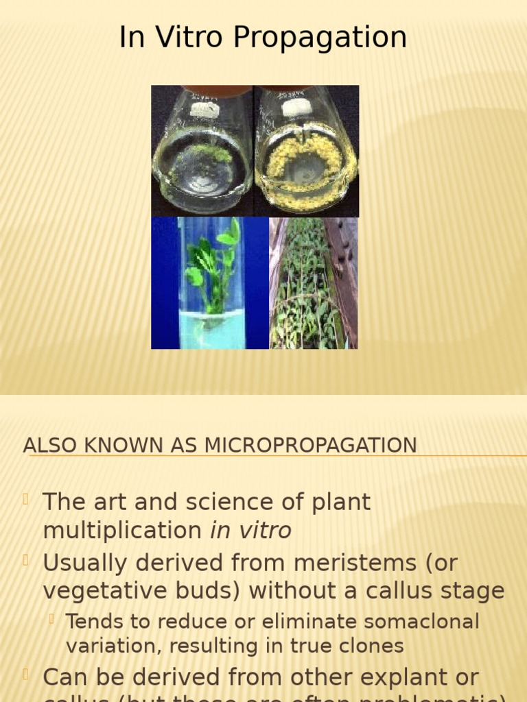 M4. A. in Vitro For Micropropagation | PDF | Embryo | Reproduction