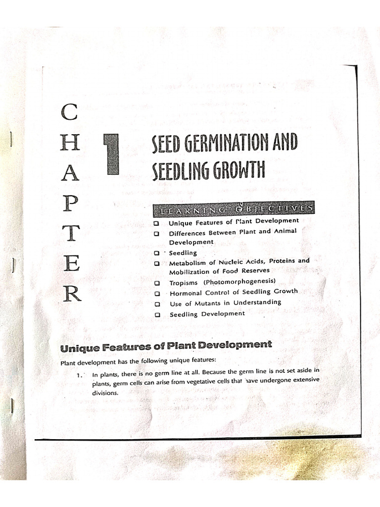Seed Germination and Seed Growth | PDF