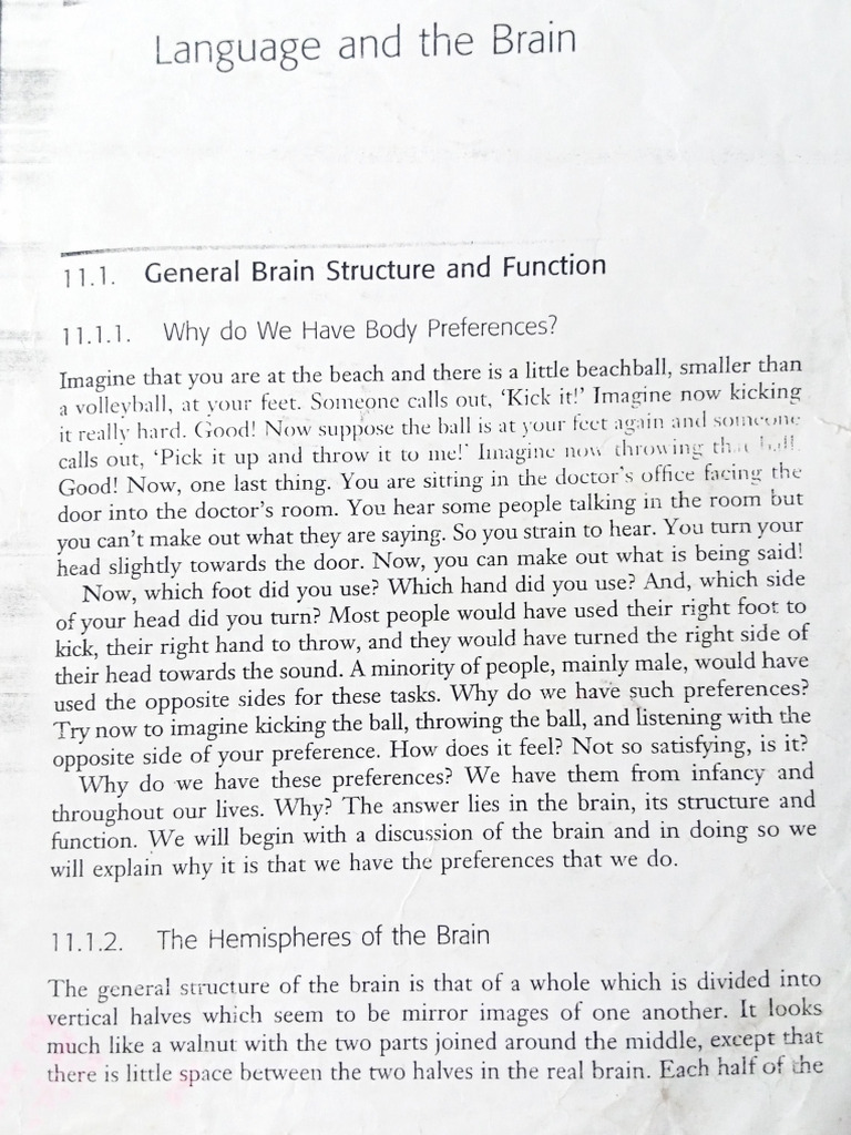 Language and The Brain | PDF